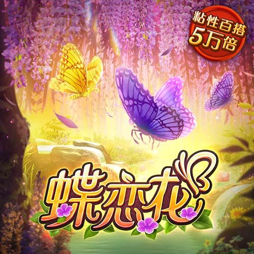 中欧体育kok网页版